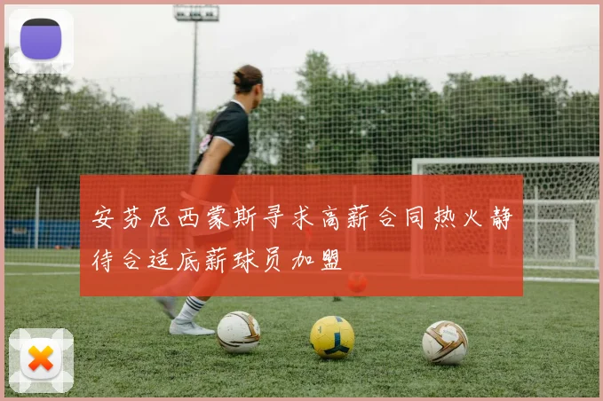 安芬尼西蒙斯寻求高薪合同热火静待合适底薪球员加盟