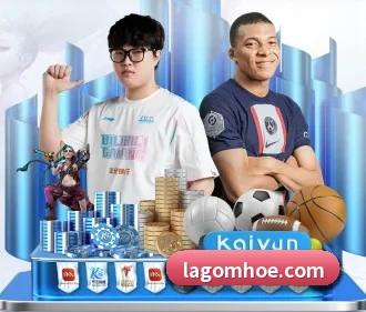 aoa网页版入口 APP